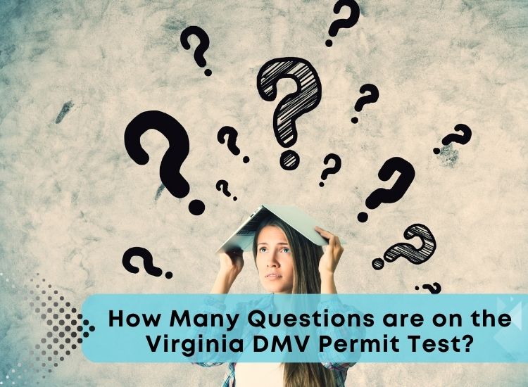 How Many Questions are on the Virginia DMV Permit Test?