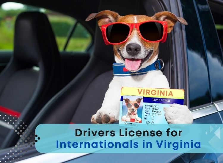 Driver License for Internationals in Virginia