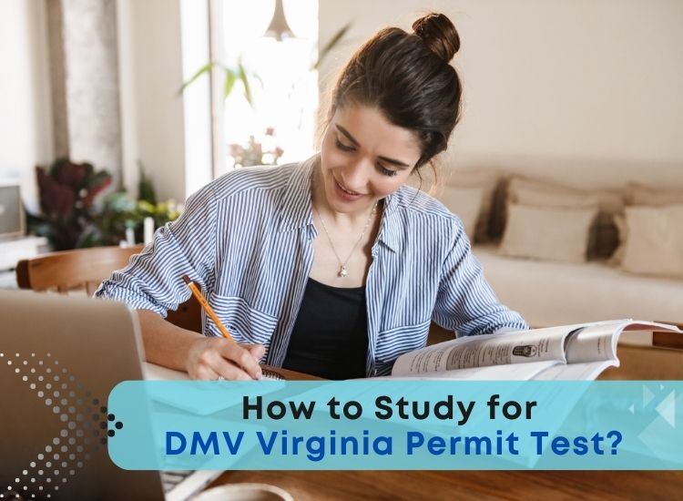 How to Study for DMV Virginia Permit Test 2023